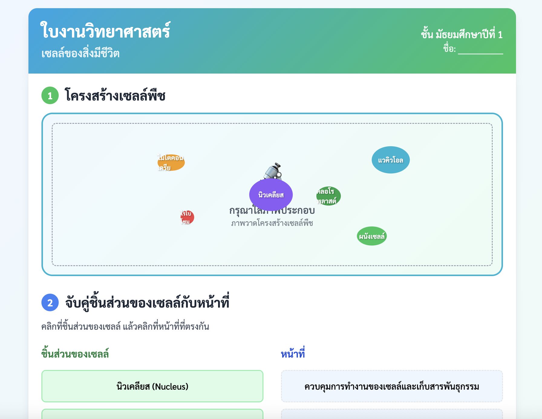 ใบงานวิทยาศาสตร์ ม.1